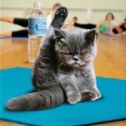 Fitness'a gidiyorum bebeyim ;)