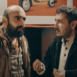 Gibi
