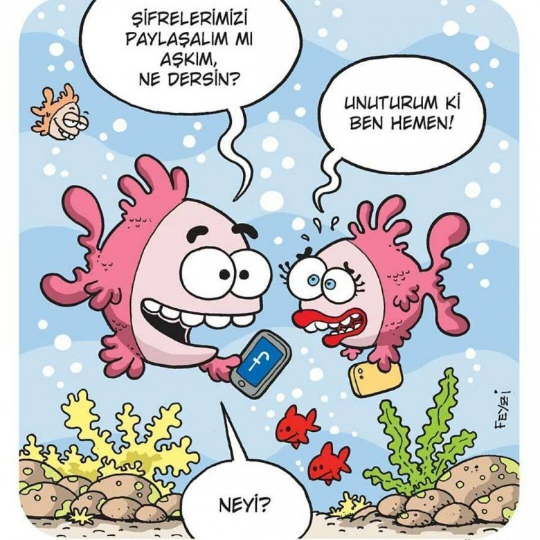 Tüm Balıkların Hafızaları En Fazla 10 Saniye İçinde Silinir