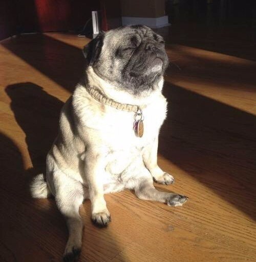 Isınıyorum ama yine de kederliyim.