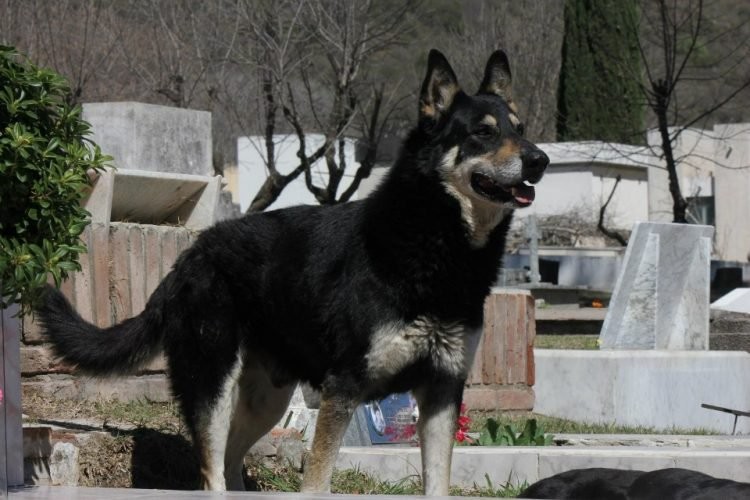 12 Yıl Önce Kaybolmuştu