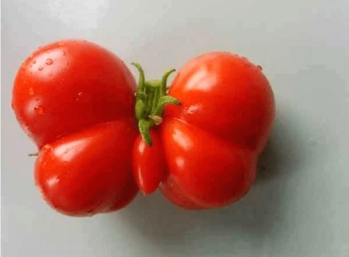 Nereymiş minik kelebek