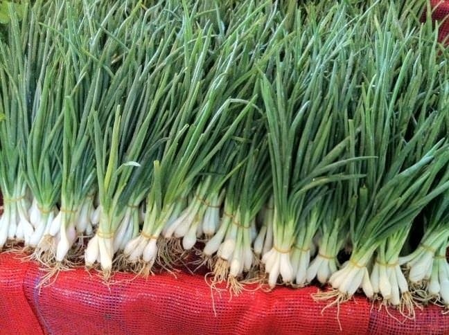 Yeşil soğanı uzun süre kullanmak için küçük küçük doğrayıp bir pet şişenin içinde buzlukta saklayabilirsiniz.
