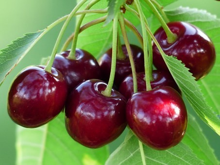 Kiraz ve vişnelerin çekirdeğini kolayca çıkarmak için soda şişesinin üzerine koyup bir çubukla bastırabilirsiniz.