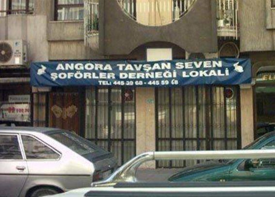 Angora Tavşan Seven Şoförler Derneği