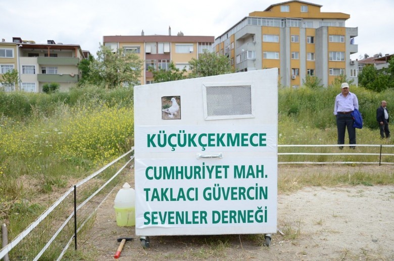 Taklacı Güvercin Sevenler Derneği