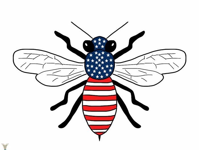 USB (BEE)
