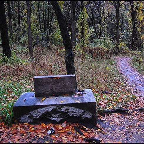 Bekar Koru Mezarlığı – Bremen, Illinois