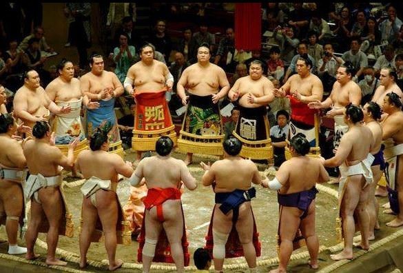 Sumo güreşçileri neden bu kadar şişmandır?