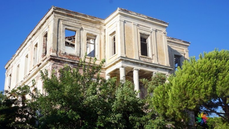Despot Evi