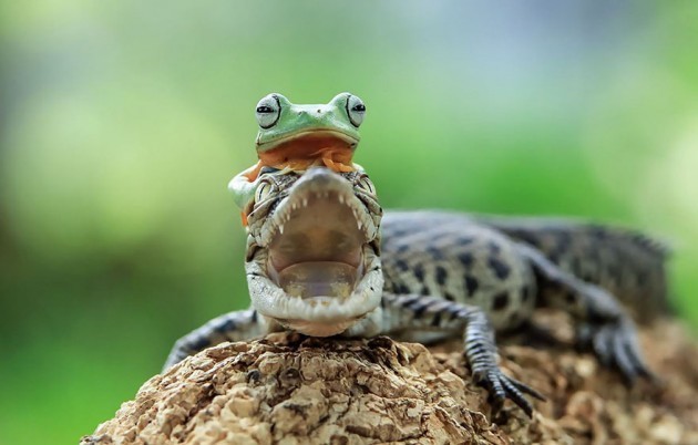 Kanka fotoğraf çekiyorum poz ver