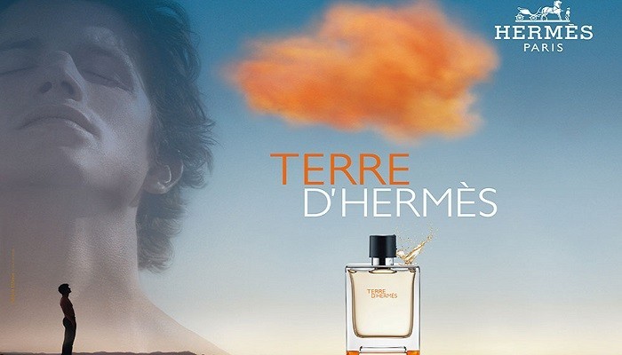 Hermes – Terre D’Hermes EDT Erkek Parfümü
