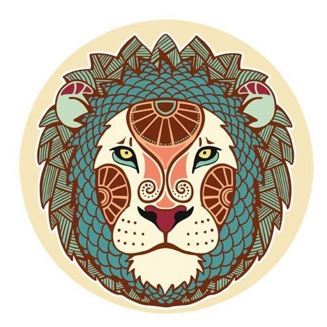 ASLAN BURCU