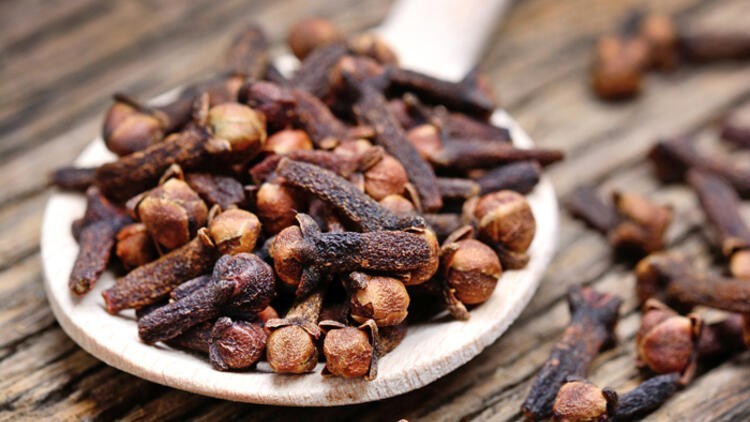 Karanfil ve Karanfil Yağı