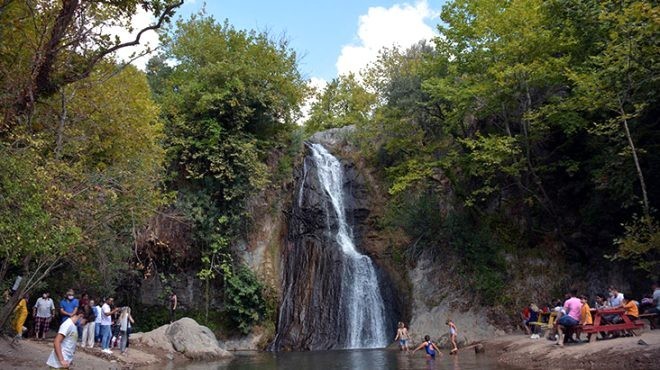 İkiye bölünen çam ağacı iki aşığı içine almış