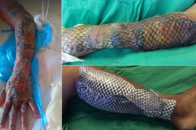 Sıradan Cisimleri İlginç Şekilde Kullanan 5 Zeki İnsan