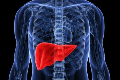 Karaciğer Düşmanları