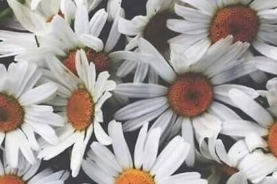 İçime Sığmayanım