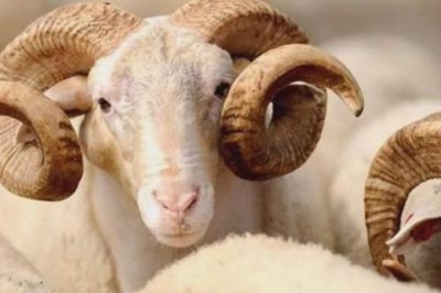 Kurban Bayramı Tatili İçin Resmi Açıklama !