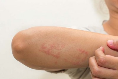 Egzamaya Ne İyi Gelir ?