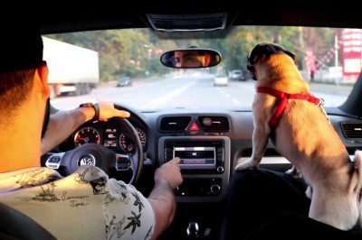 Yeni Bir Youtuber Mi? Buğra Gülcan #HayallerininPeşinde 