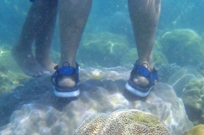 Tayland’dan mercanlara zarar veren kimyasal içerikli güneş kremlerine yasak