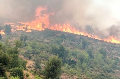 Köyceğiz Sazak’ta alevler yeniden yükseldi