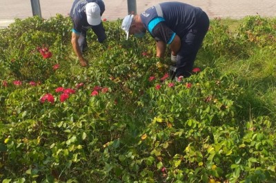 Mesire yerleri ve yeşil alanlarda temizlik çalışması