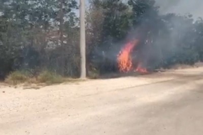 Isparta'da ağaçlara sıçrayan yangın korkuttu