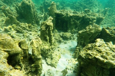 Van Gölü'nde yeni mikrobiyalitler keşfedildi