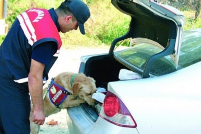JASAT suç ve suçlularla mücadelesini hız kesmeden sürdürüyor