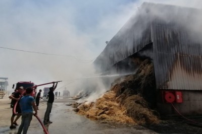 Manisa’da 150 ton saman yangında küle döndü