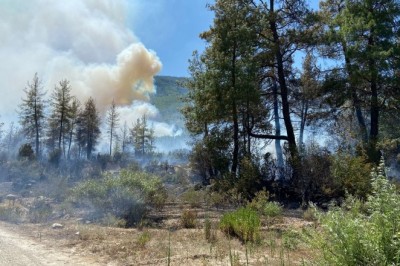 Burdur'un Bucak ilçesinde orman yangını başladı
