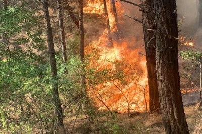 Kozan'da yangın erken müdahale ile söndürüldü