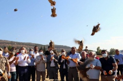 32 köyde 900 adet kınalı keklik doğaya bırakıldı