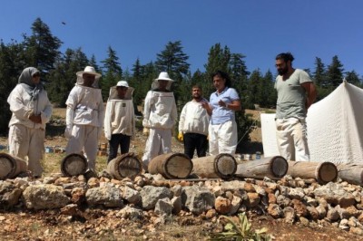 Toroslar'da Yörüklerin göç yolunda ürettiği asırlık bal yeniden üretilecek