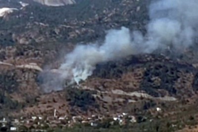 Zeytinlik alanda çıkan yangın kontrol altına alındı