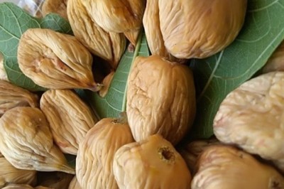 Buharkent Ziraat Odası Başkanı Özdamar’dan uyarı; ’35 TL’nin altında incir satmayın