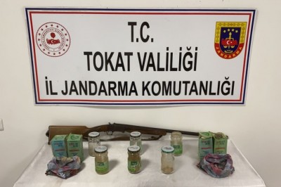 Tokat’ta uyuşturucu operasyonu: 7 gözaltı