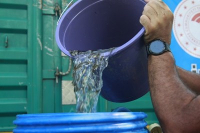 Bursa’da göl ve göletlere 1 milyon 756 bin adet yavru sazan balığı bırakıldı