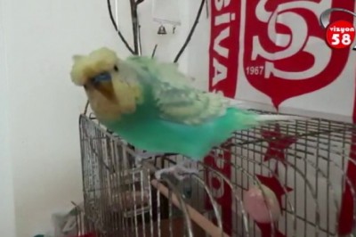 Spor programının açılışını muhabbet kuşu yaptı!