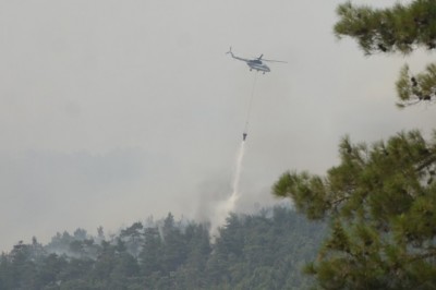 Denizli'nin Köyceğiz sınırına yakın alanda orman yangını başladı