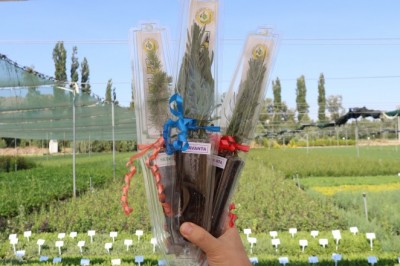 Eskişehir’de üretilen 