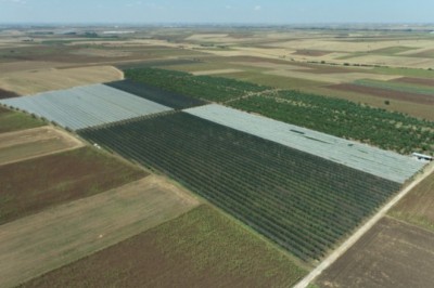 Devletin hibe sağladığı elma ve armut bahçesine droneli denetim