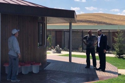 Pursaklar'da sokak hayvanlarına sıcak yuva