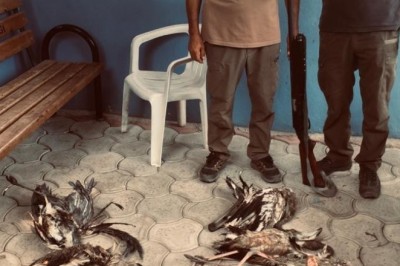 Yaban hayvanlarını avlayan kişiye 28 bin 491 lira ceza