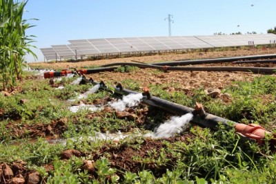 Sulama için güneş sistemi kurdu, elektrik masrafından kurtuldu