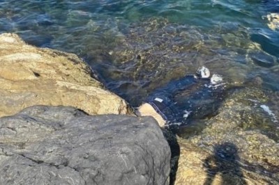 İskenderun’da barınakta erkek cesedi bulundu