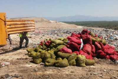 Antalya’da 4 ton kaçak midye ele geçirildi