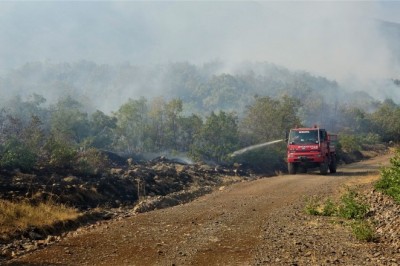 Bingöl’deki yangına havadan ve karadan müdahale sürüyor
